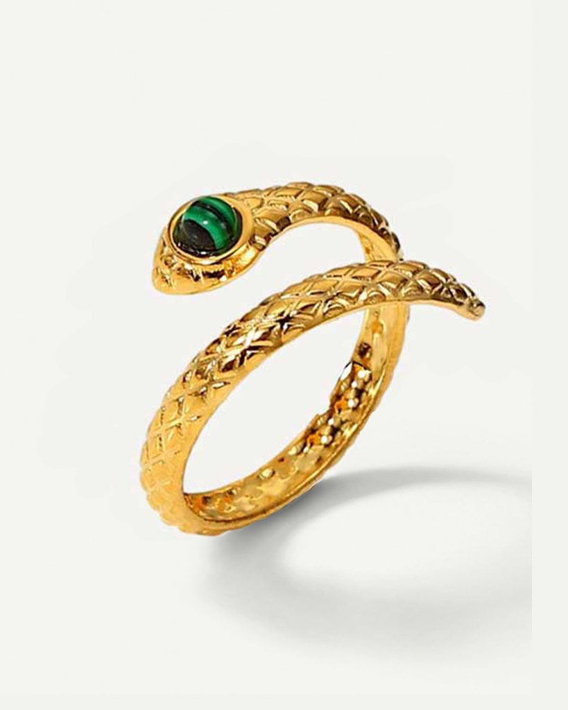 Anillo envolvente de serpiente