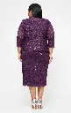 imgi_37_sl-fashions-9413104-floral-lace-plus-size-formal-dress-1500-16.webp