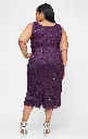 imgi_36_sl-fashions-9413104-floral-lace-plus-size-formal-dress-1500-15.webp