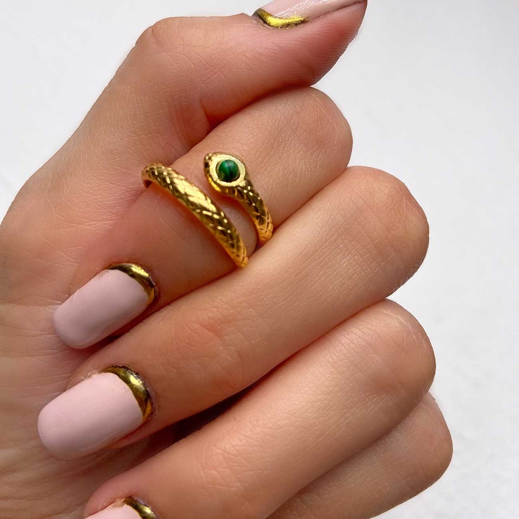 Anillo envolvente de serpiente