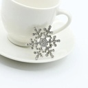 Broche de mini copo de nieve (copia)