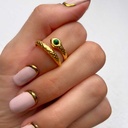 Anillo envolvente de serpiente