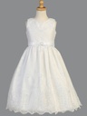 Vestido de organza bordado