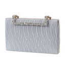 Clutch de mano brillante