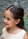 Tiara con peineta de zirconias