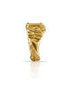 Anillo de corteza