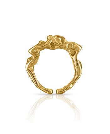 Anillo de corteza