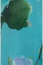 2560254 (5).webp