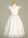 Vestido largo de tul bordado