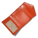 Cartera pequeña con tres pliegues