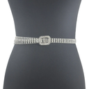 Cinturón elegante de diamantes (copia)