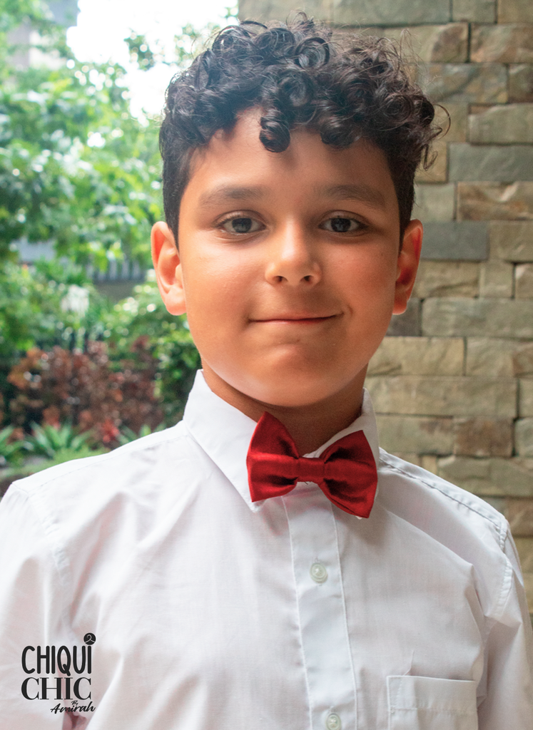 Pajarita de seda con clip