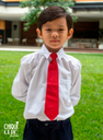 Corbata con clip de seda