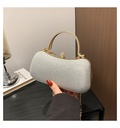 Bolso brillante de fiesta con broche