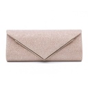 Bolso brillante tipo sobre
